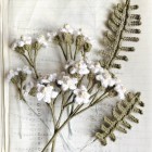 Livre "Dans le pré" Ricorumi