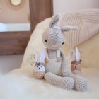 Célestin le lapin : Patron Au Crochet PDF